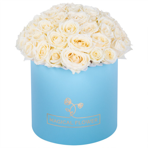 Букет из 51 белой розы premium в голубой шляпной коробке