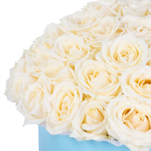 Букет из 51 белой розы premium в голубой шляпной коробке