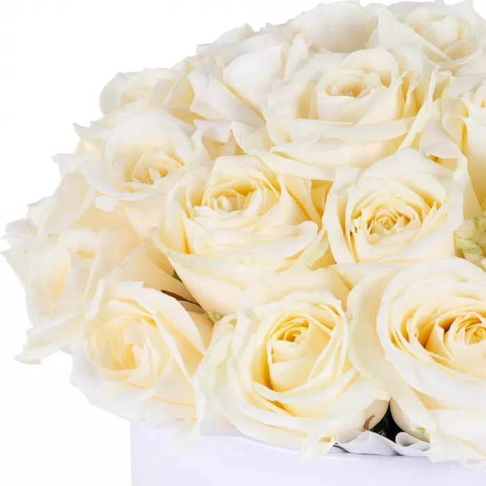 Букет из 35 белых роз premium в кремовой шляпной коробке
