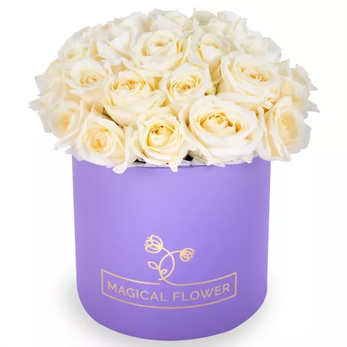 Букет из 35 белых роз premium в фиолетовой шляпной коробке