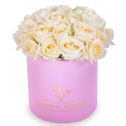 Большой букет из 35 белых роз premium в розовой шляпной коробке