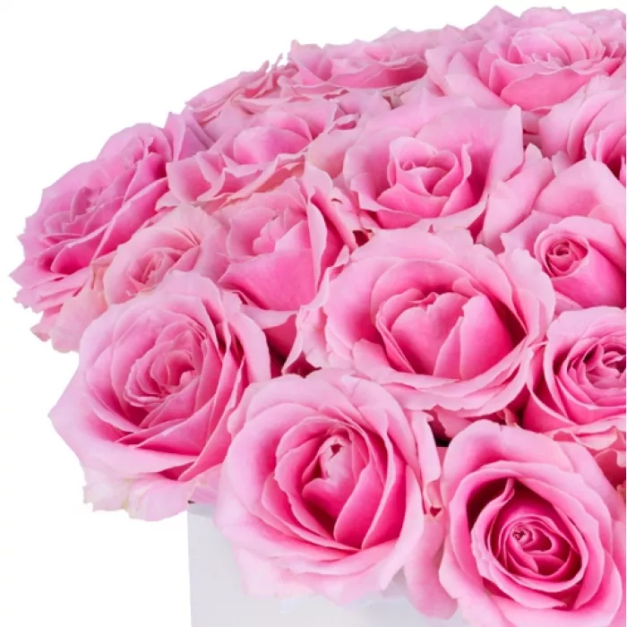25 розовых роз premium в кремовой шляпной коробке