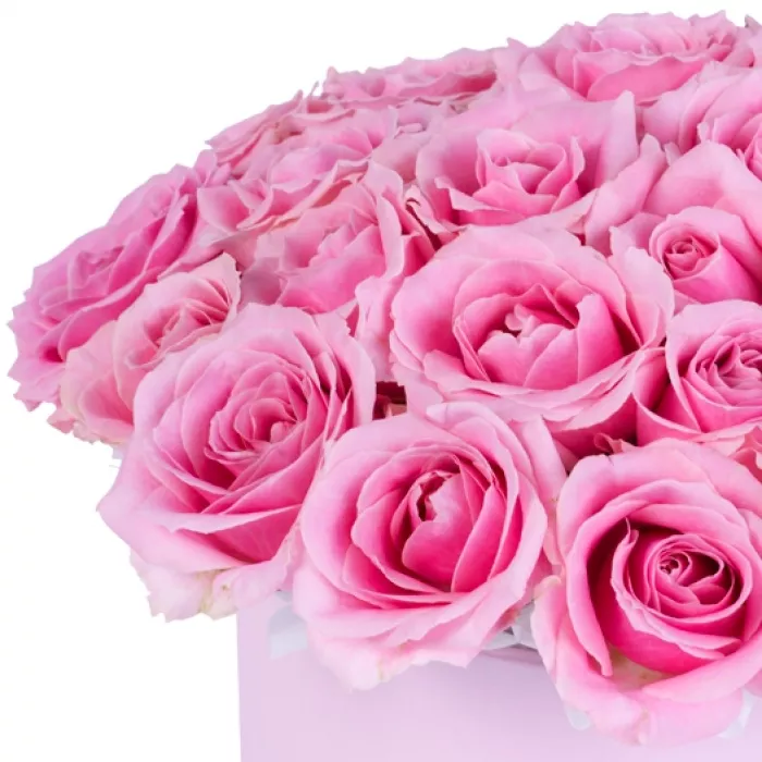 Букет из 25 розовых роз premium в розовой шляпной коробке