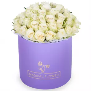 Букет из 75 белых роз в фиолетовой шляпной коробке
