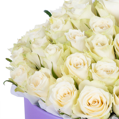 Букет из 75 белых роз в фиолетовой шляпной коробке
