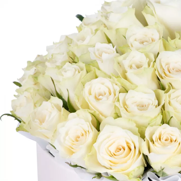 Букет из 75 белых роз в кремовой шляпной коробке
