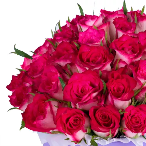 Букет из 51 бело-малиновой розы в фиолетовой шляпной коробке