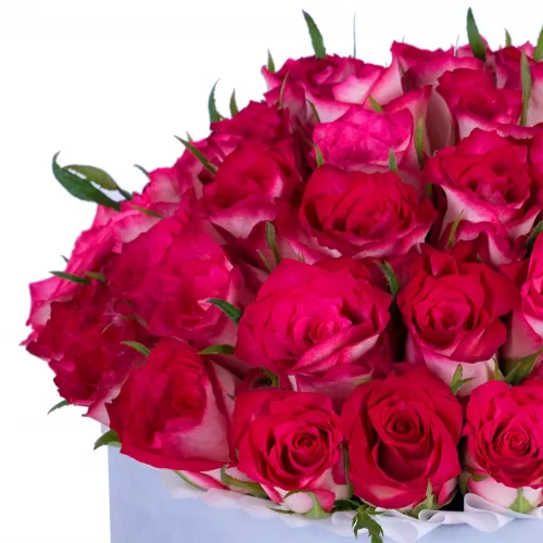 Букет из 51 бело-малиновой розы в серой бархатной шляпной коробке