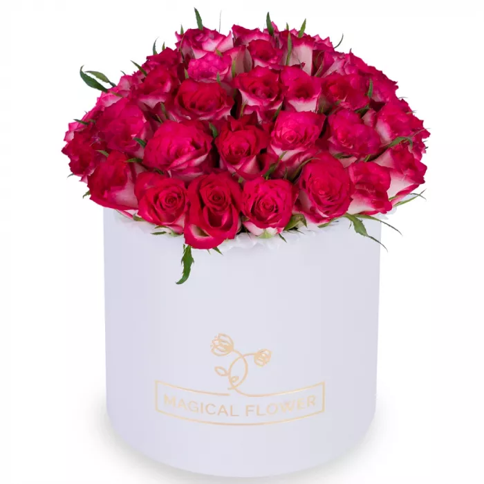 Букет из 51 бело-малиновой розы в белой шляпной коробке