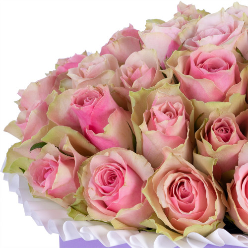 Букет из 25 бело-розовых роз в фиолетовой шляпной коробке