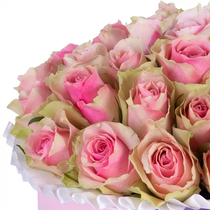 Букет из 25 бело-розовых роз в розовой шляпной коробке