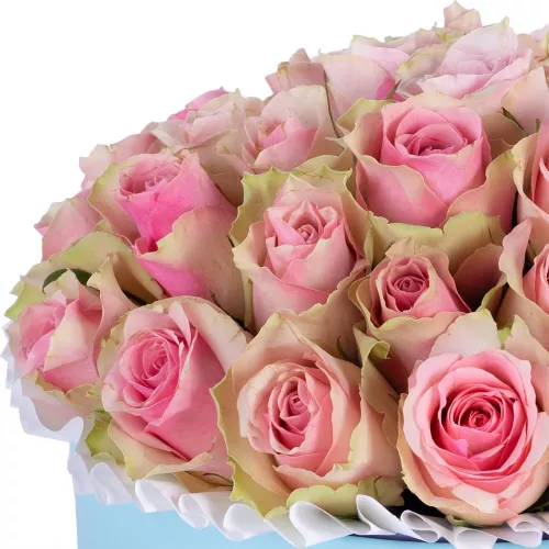 Букет из 25 бело-розовых роз в голубой шляпной коробке