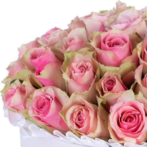 Букет из 25 бело-розовых роз в белой шляпной коробке