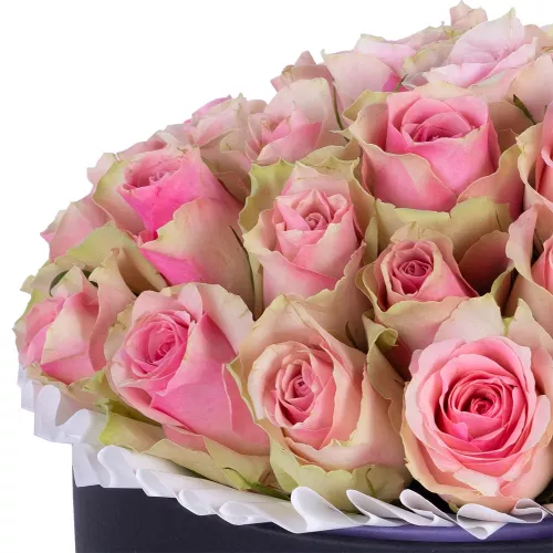 Букет из 25 бело-розовых роз в черной шляпной коробке