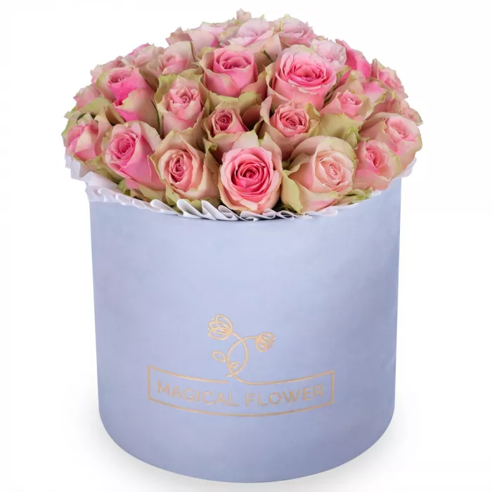 Букет из 25 бело-розовых роз в серой бархатной шляпной коробке Букет из 25 бело-розовых роз в серой бархатной шляпной коробке