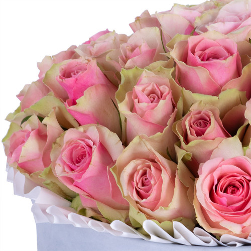 Букет из 25 бело-розовых роз в серой бархатной шляпной коробке