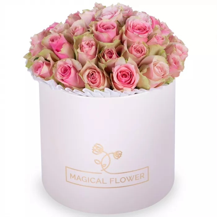 Букет из 25 бело-розовых роз в кремовой шляпной коробке