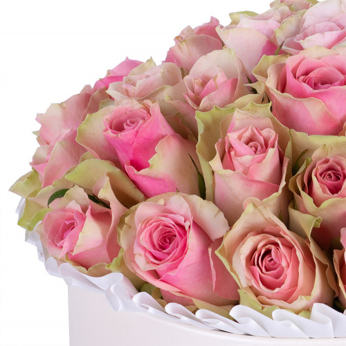 Букет из 25 бело-розовых роз в кремовой шляпной коробке