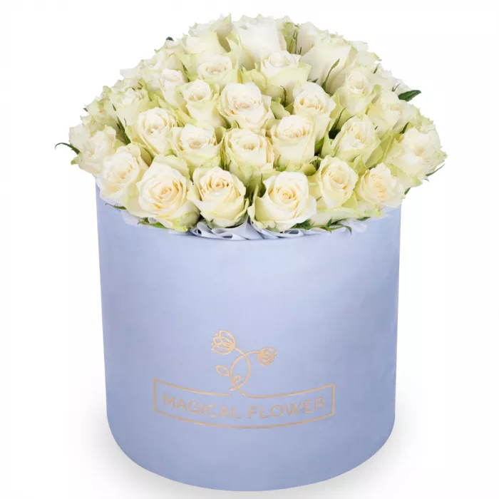 Букет из 75 белых роз в серой бархатной шляпной коробке