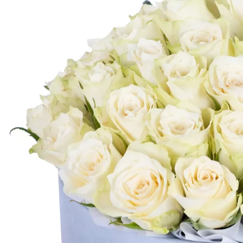 Букет из 75 белых роз в серой бархатной шляпной коробке