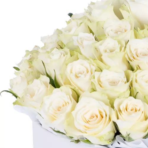 Букет из 75 белых роз в белой шляпной коробке