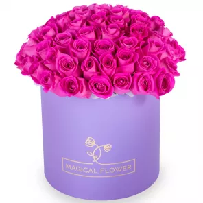 Букет из 75 розовых роз в фиолетовой шляпной коробке