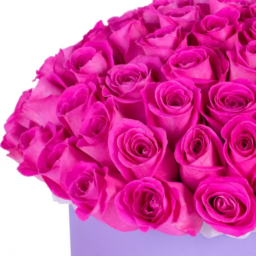 Букет из 75 розовых роз в фиолетовой шляпной коробке