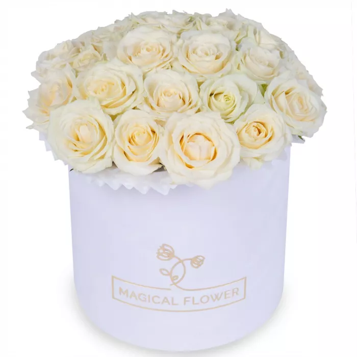 25 белых роз premium в белой шляпной коробке 25 белых роз premium в белой шляпной коробке