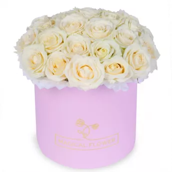 25 белых роз premium в розовой шляпной коробке