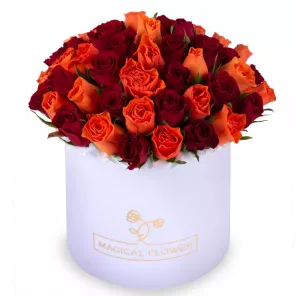 51 разноцветная роза в белой шляпной коробке