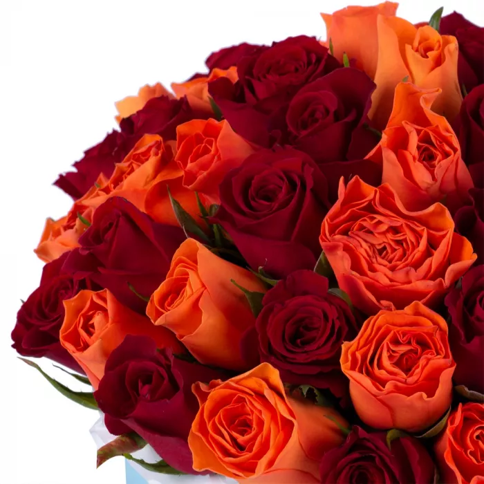 51 разноцветная роза в голубой шляпной коробке