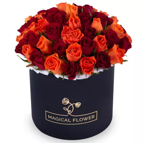 51 разноцветная роза в черной шляпной коробке