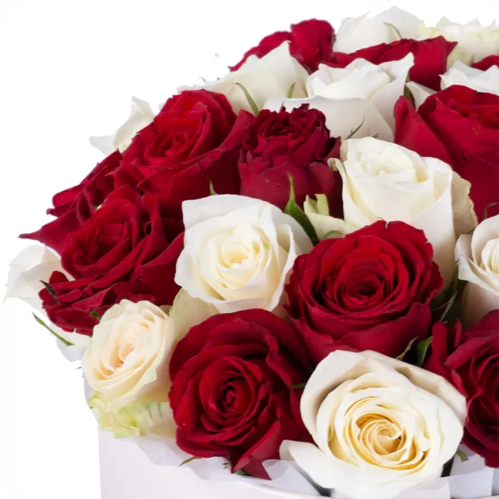 35 разноцветных роз в кремовой шляпной коробке