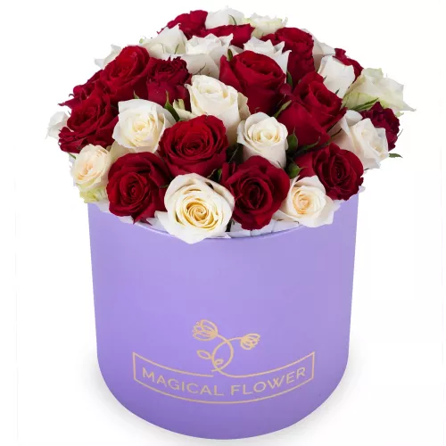 35 разноцветных роз в фиолетовой шляпной коробке