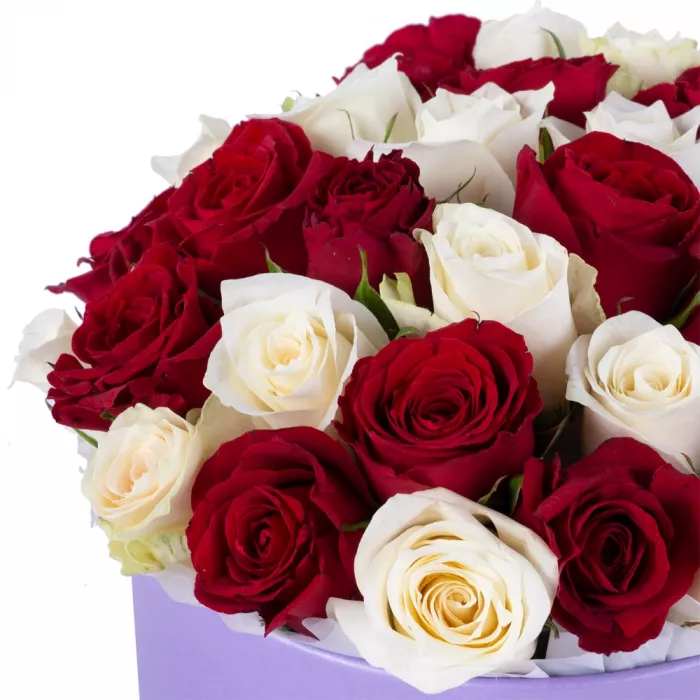 35 разноцветных роз в фиолетовой шляпной коробке