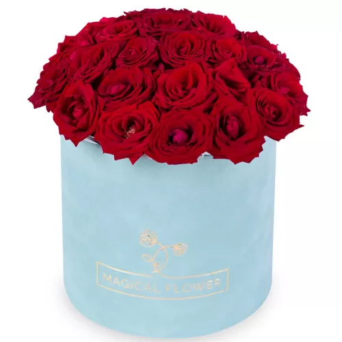 25 роз premium в бархатной шляпной коробке