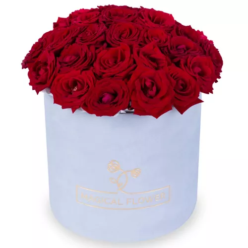25 роз красных premium в бархатной шляпной коробке