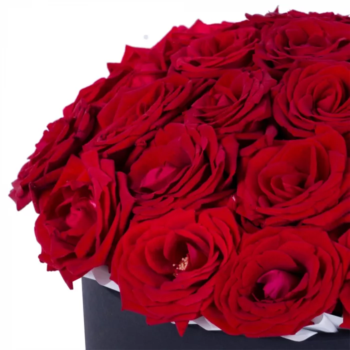 25 красных роз premium в черной шляпной коробке