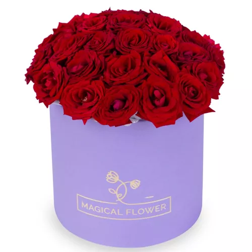25 красных роз premium в фиолетовой шляпной коробке