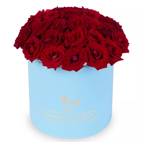 25 красных роз premium в голубой шляпной коробке