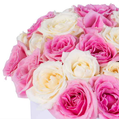25 разноцветных роз premium в белой шляпной коробке