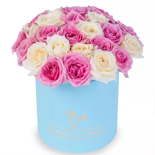 25 разноцветных роз premium в голубой шляпной коробке