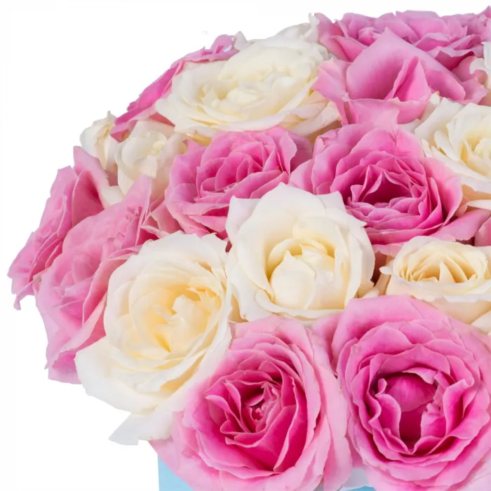 25 разноцветных роз premium в голубой шляпной коробке
