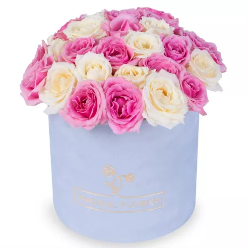 25 разноцветных роз premium в бархатной шляпной коробке