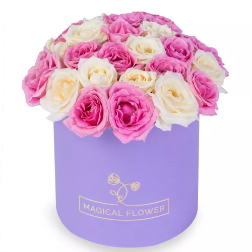 25 разноцветных роз premium в фиолетовой шляпной коробке