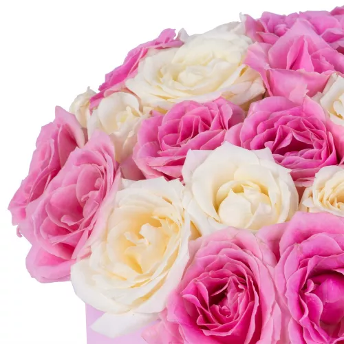 25 разноцветных роз premium в розовой шляпной коробке