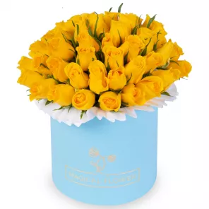 51 желтая роза в голубой шляпной коробке