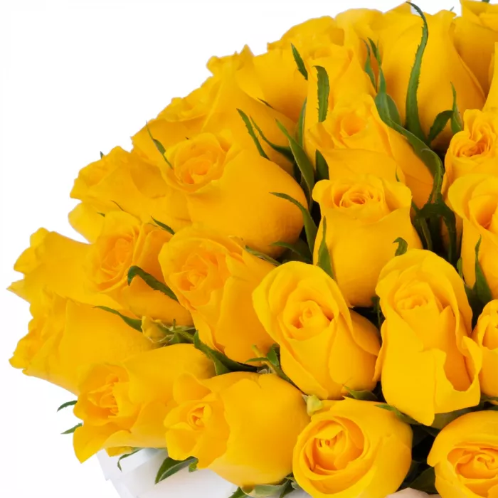 51 желтая роза в голубой шляпной коробке