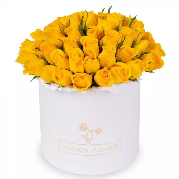 51 желтая роза в белой шляпной коробке