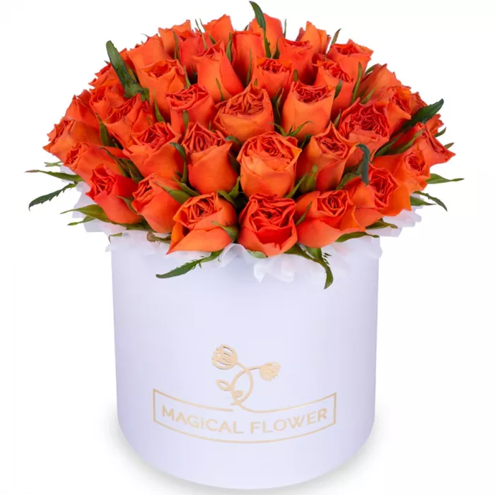 51 оранжевая роза в белой шляпной коробке